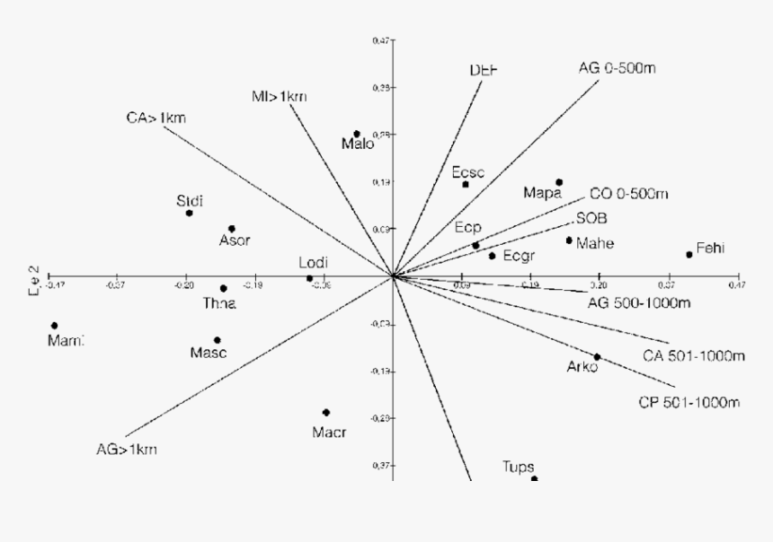 Diagram, HD Png Download, Free Download