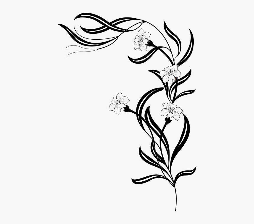 Flower Png Black And White, Transparent Png, Free Download