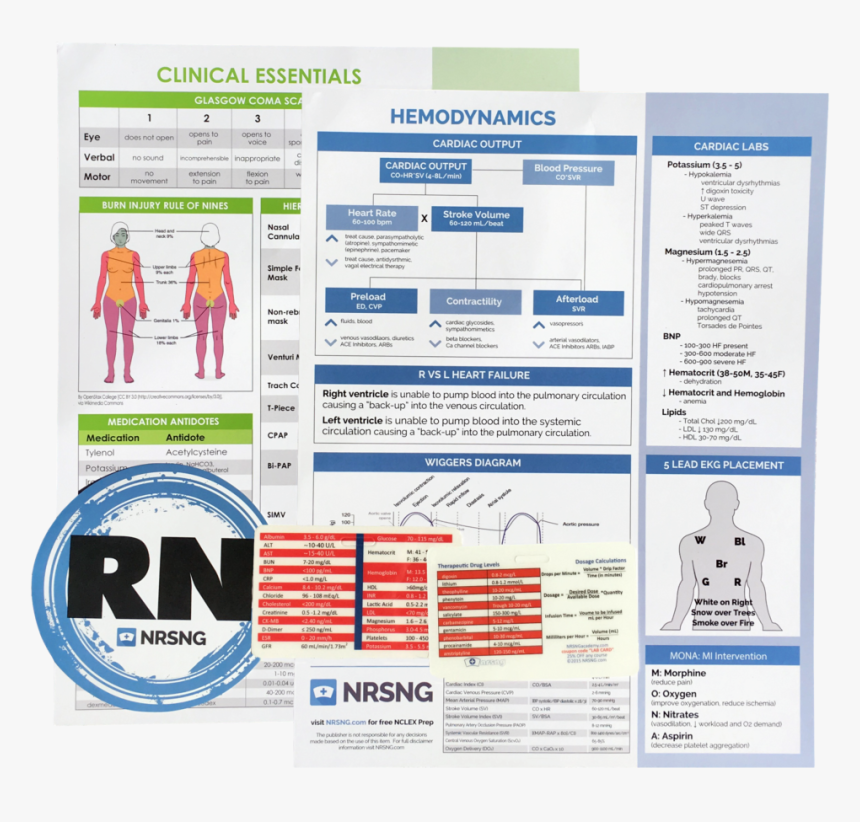 Nursing Student Gifts - Nurses Clinical Cheat Sheets, HD Png Download, Free Download