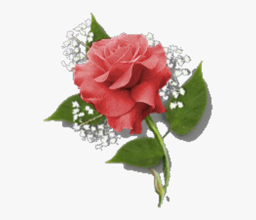 Flores En Png Para Photoshop - Gif, Transparent Png, Free Download