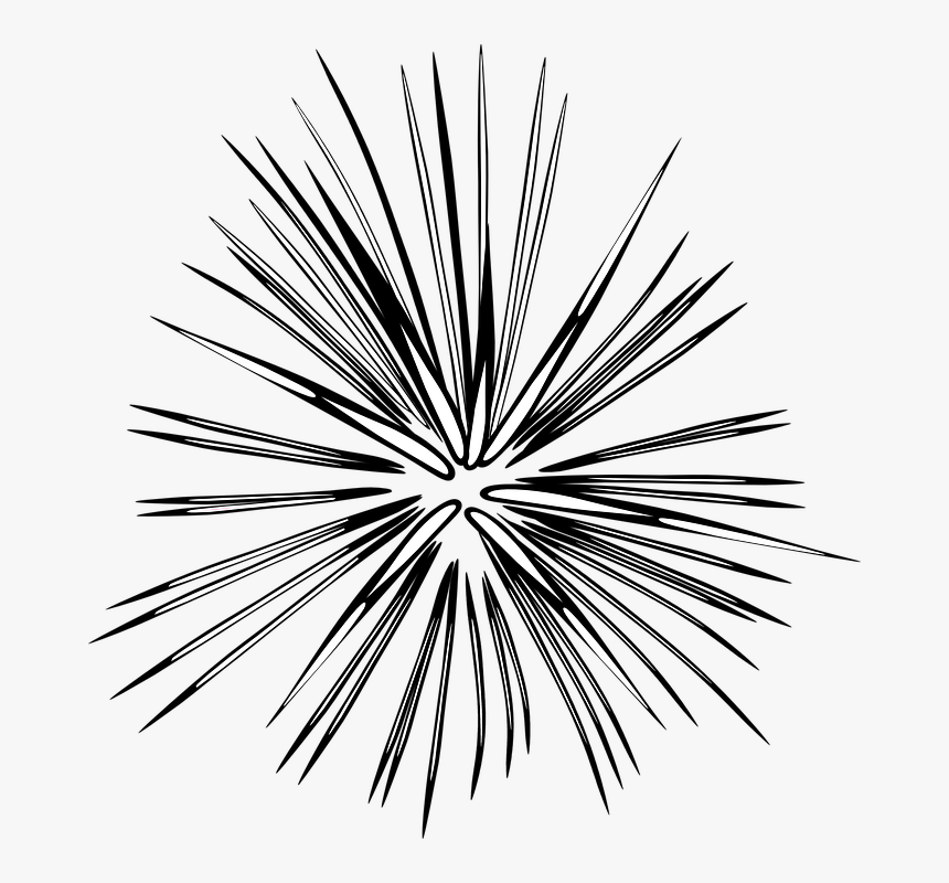 Fuegos Artificiales, Explosión, Ráfaga, Sparks, Manga - Transparent Fireworks Clipart Black And White, HD Png Download, Free Download