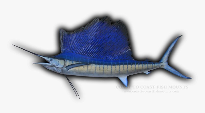 Swordfish, HD Png Download, Free Download