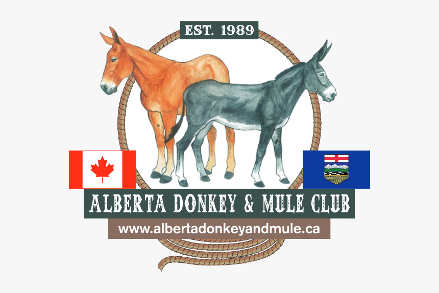 Alberta Donkey And Mule Club - Working Animal, HD Png Download, Free Download