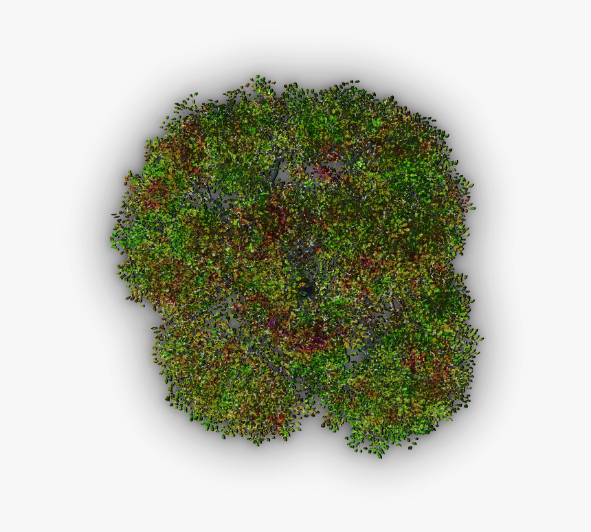 Moss, HD Png Download, Free Download