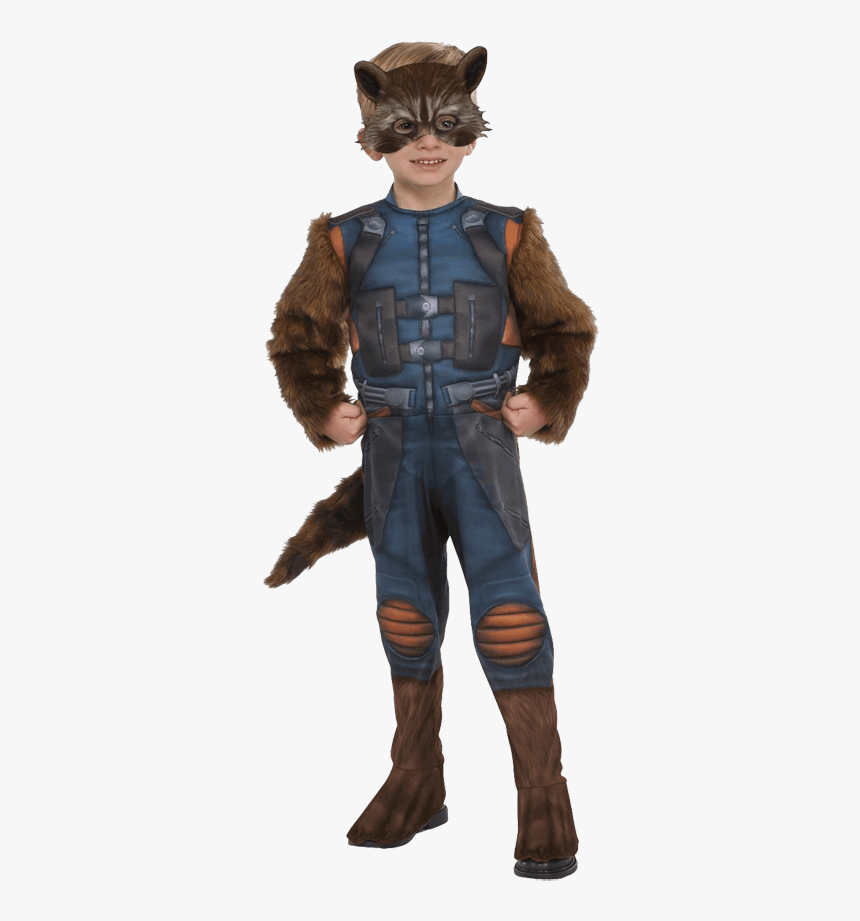 Toddler Rocket Raccoon Costume, HD Png Download, Free Download