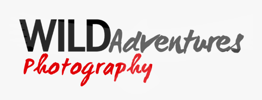 Photography Logo Png Hd - Calligraphy, Transparent Png, Free Download