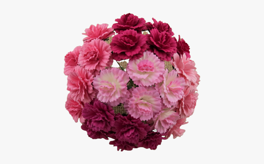 Carnation, HD Png Download, Free Download