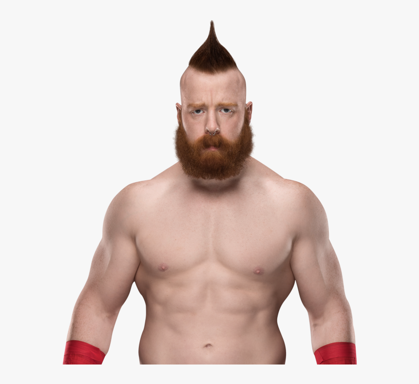 User Posted Image - Sheamus Png 2019, Transparent Png, Free Download