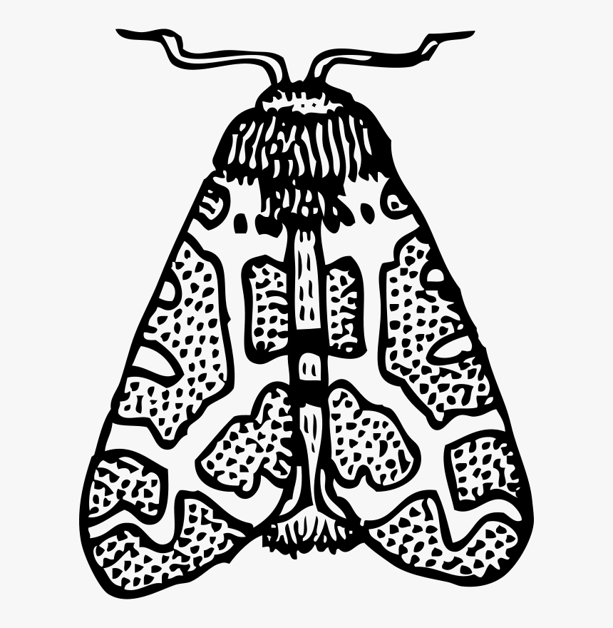 Moth Wings Closed - Moth Clipart Black And White, HD Png Download, Free Download