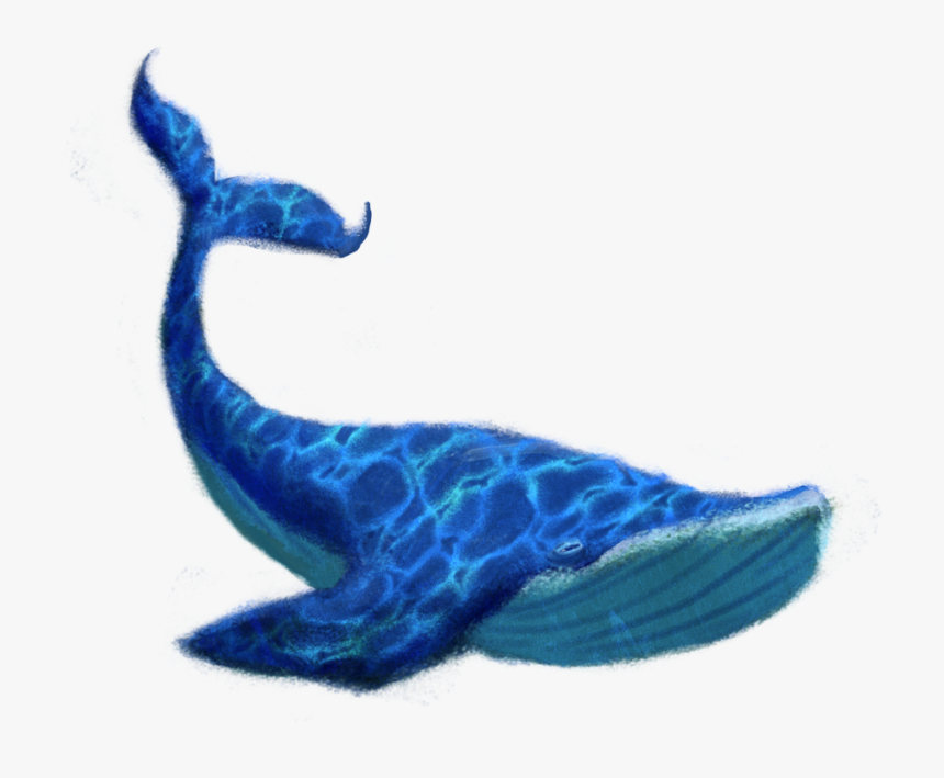 Blue Whale Png Transparent Image - Blue Whale Transparent Background, Png Download, Free Download