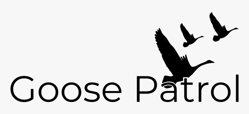 Geese Flying Png, Transparent Png, Free Download