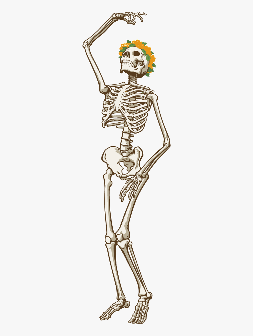 Drawing Grateful Dead Skeleton, HD Png Download, Free Download