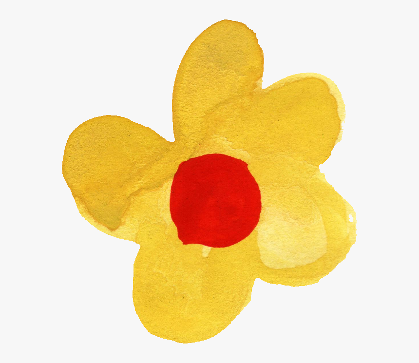 Transparent Narcissus Png - Tulip, Png Download, Free Download