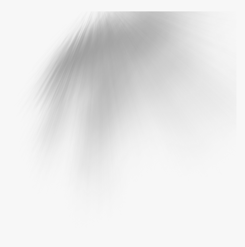 Transparent Fur Png White, Png Download, Free Download