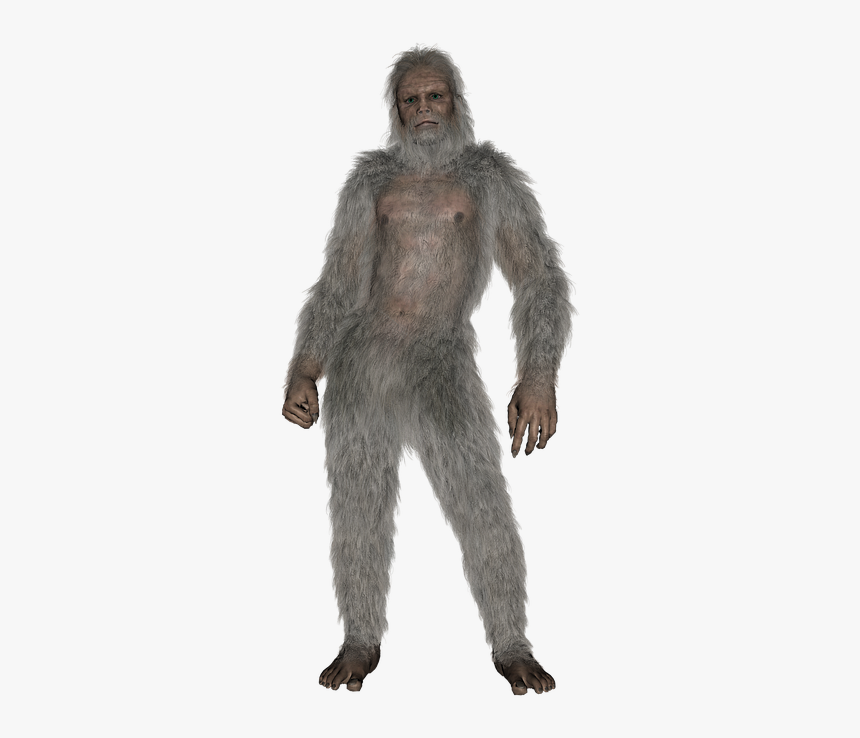 Big Foot Png, Transparent Png, Free Download