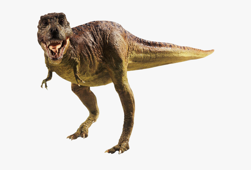 Dinosaur Footprints Reservation Tyrannosaurus Ransel - T Rex Png, Transparent Png, Free Download