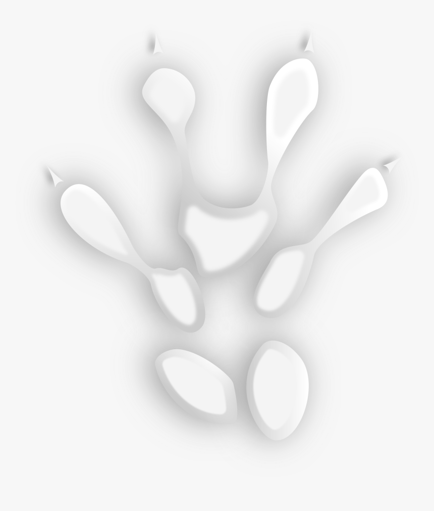 Footprint, HD Png Download, Free Download