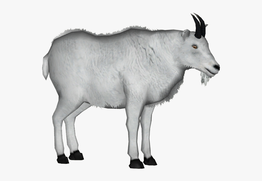 Mountain Goat White Background, HD Png Download, Free Download