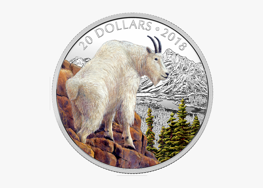 Mountain Goat, HD Png Download, Free Download