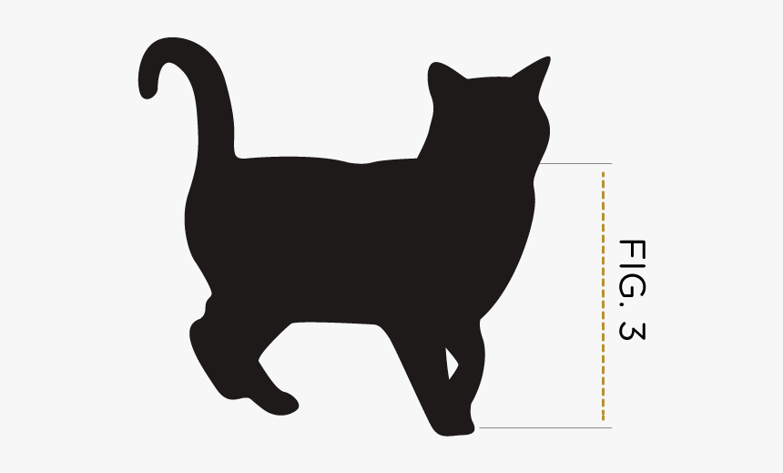 Black Cat Vector Png, Transparent Png, Free Download