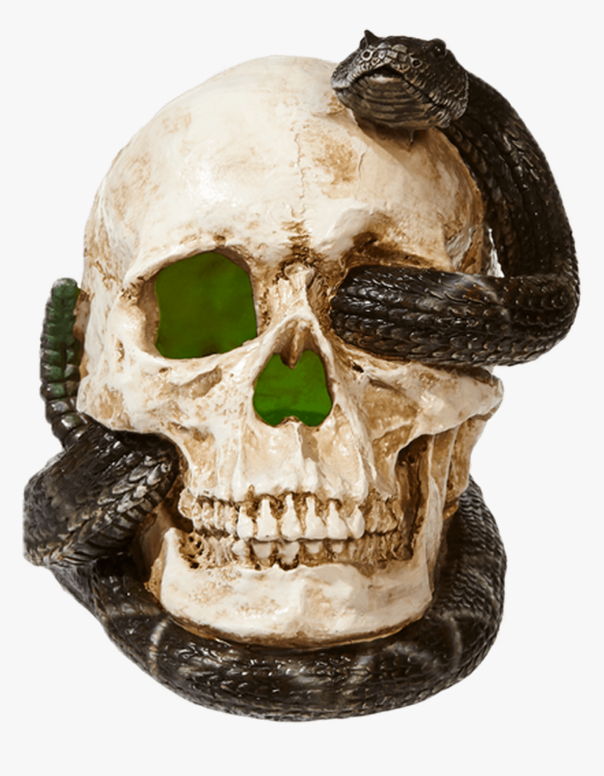 Skull, HD Png Download, Free Download