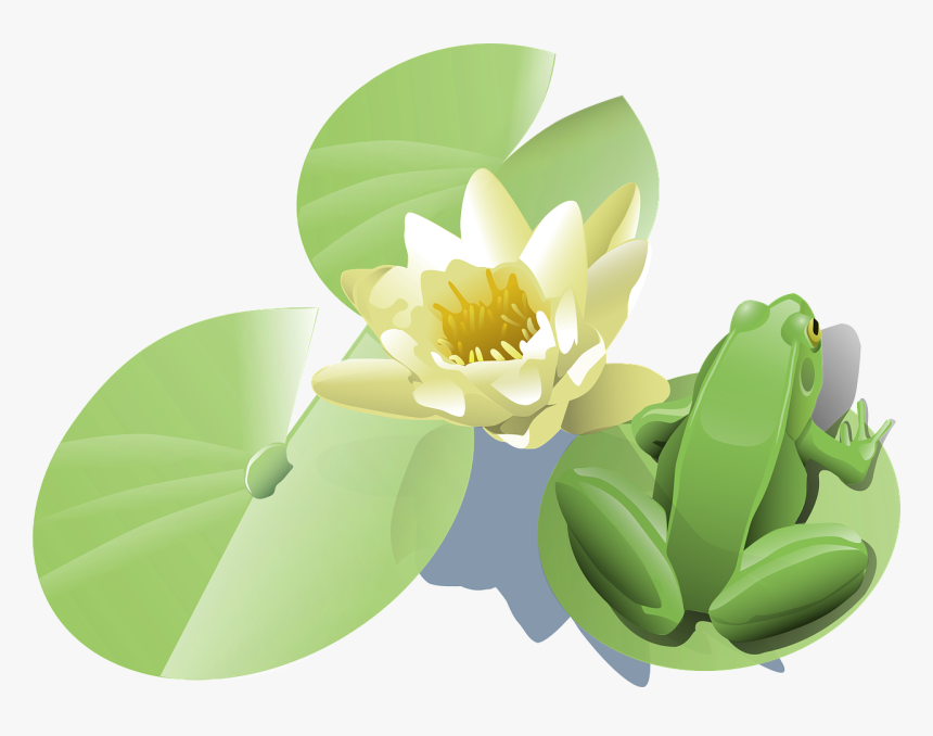 Lily Pad Clip Art Hd Png Download Kindpng