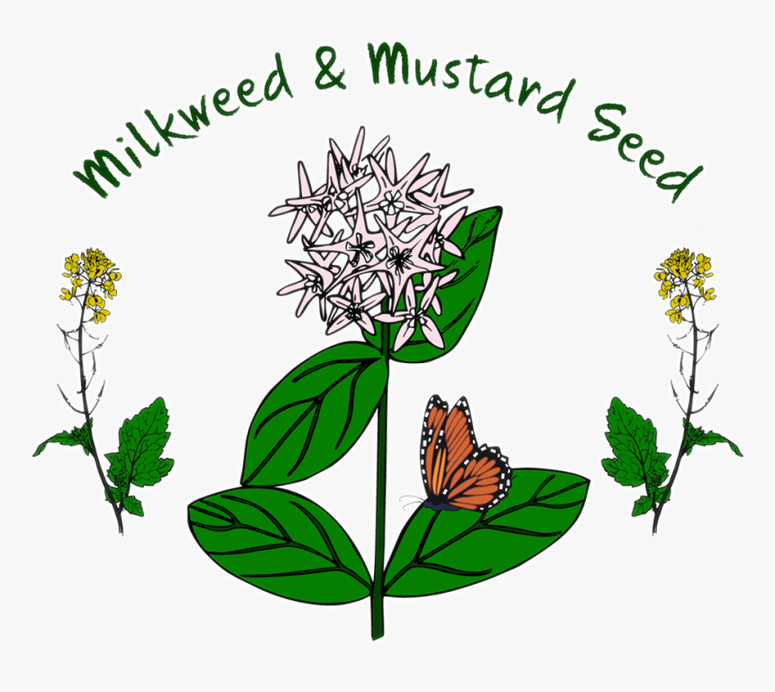 Milkweed & Mustard Seed Is A Local Project To Help - Monarch Butterfly, HD Png Download, Free Download