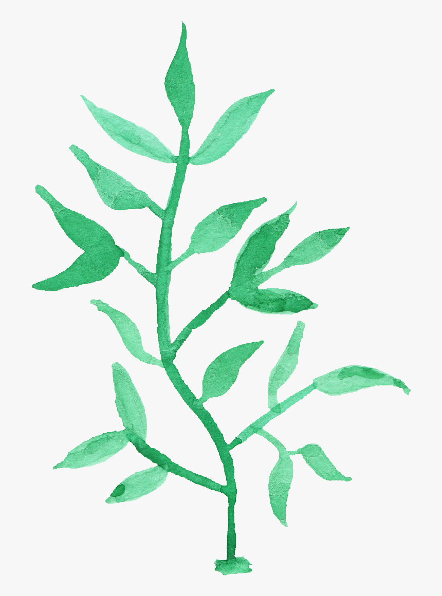 Twig, HD Png Download, Free Download