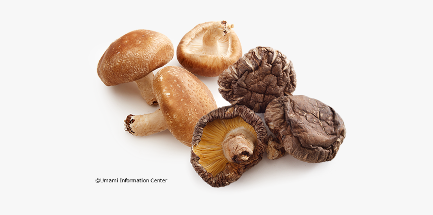 Dried Shiitake Mushroom Transparent, HD Png Download, Free Download