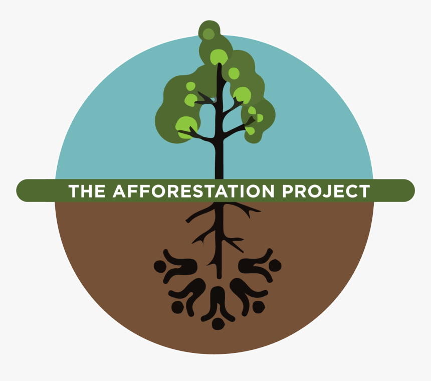 The Afforestation Project - Afforestation Project, HD Png Download, Free Download