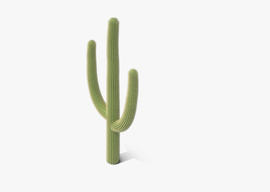 Saguaro Cactus Png Image - Cactus Png, Transparent Png, Free Download