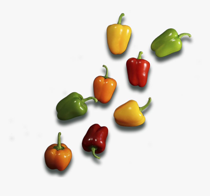 Transparent Tinkerbell Png - Habanero Chili, Png Download, Free Download