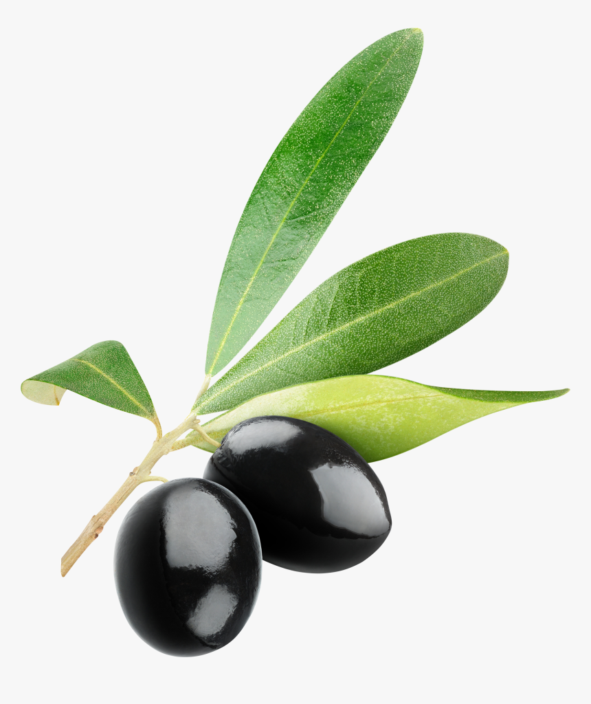 Black Olives Png - Olive Clipart Free, Transparent Png, Free Download