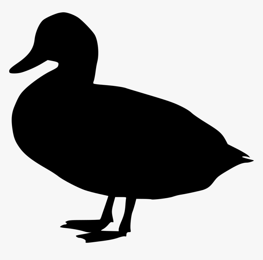 Duck Duck Svg Hd Png Download Kindpng