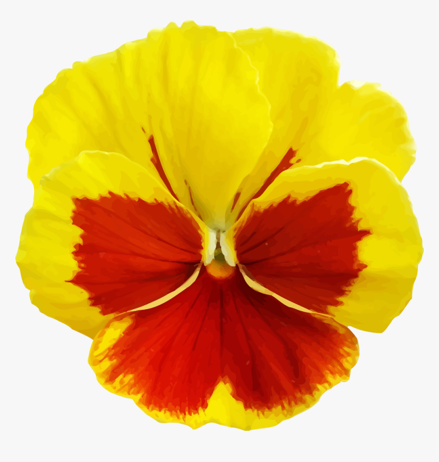 Yellow Pansy Flower Png, Transparent Png - kindpng