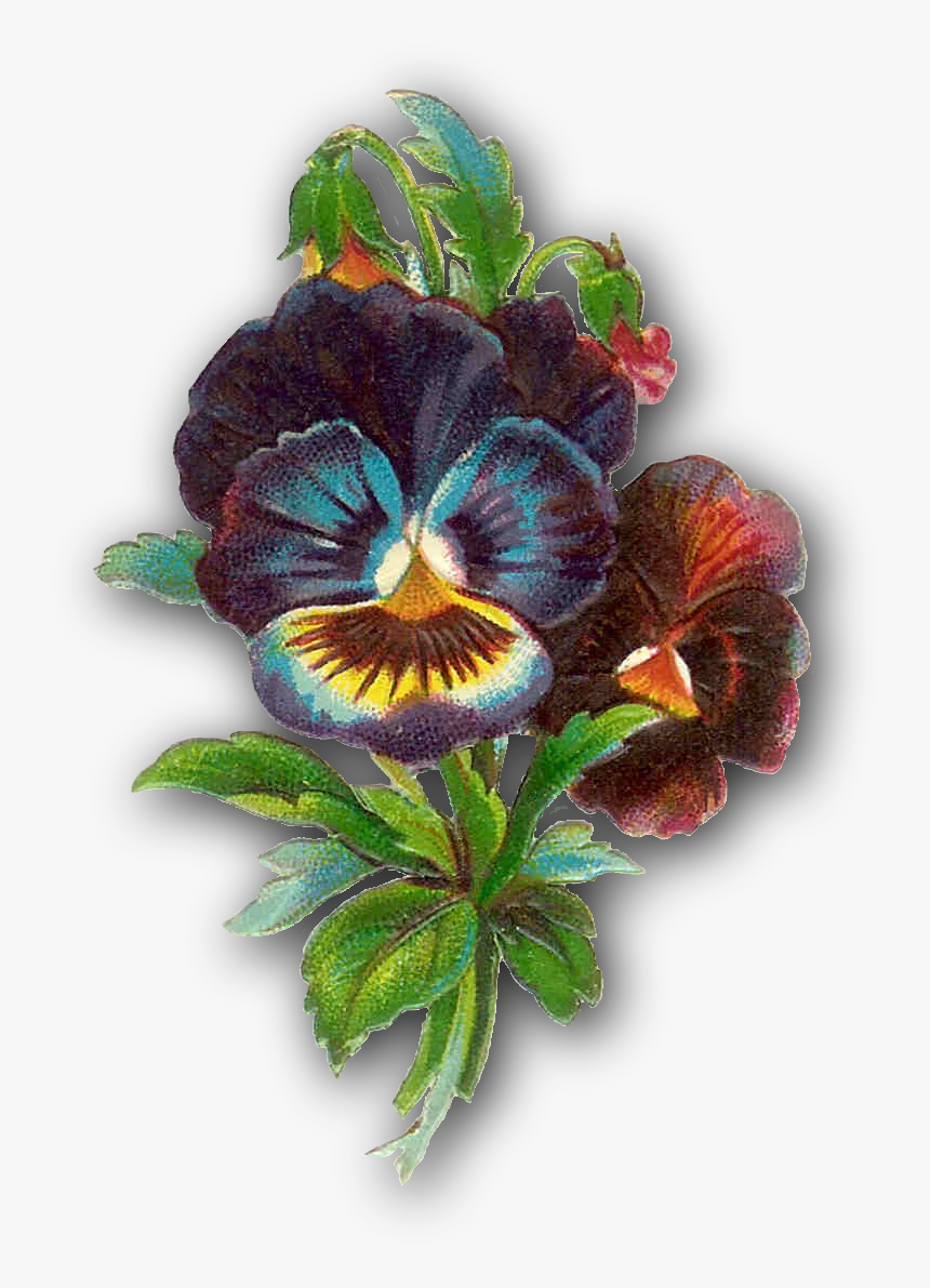 victorian flower clip art