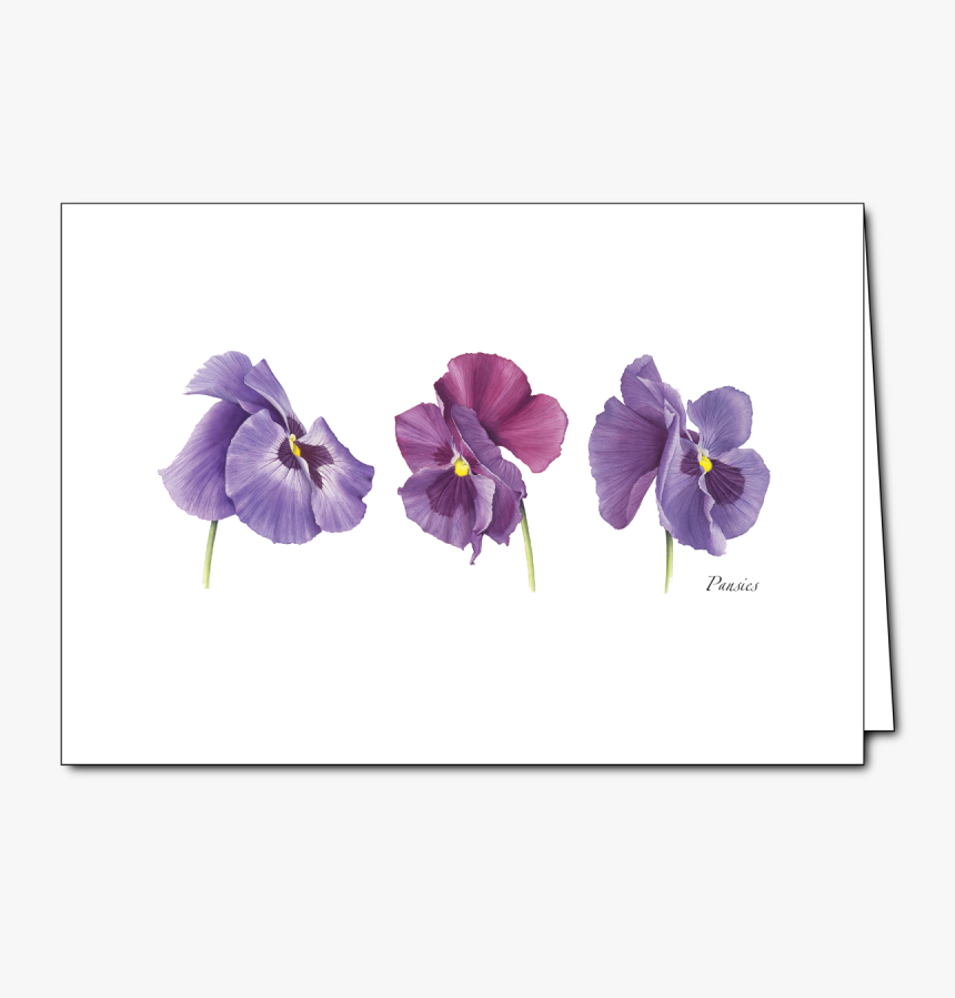 Viola, HD Png Download, Free Download