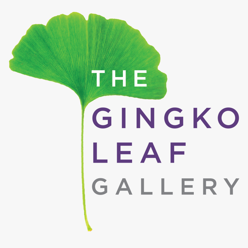 The Gingko Leaf Gallery - Tree, HD Png Download, Free Download