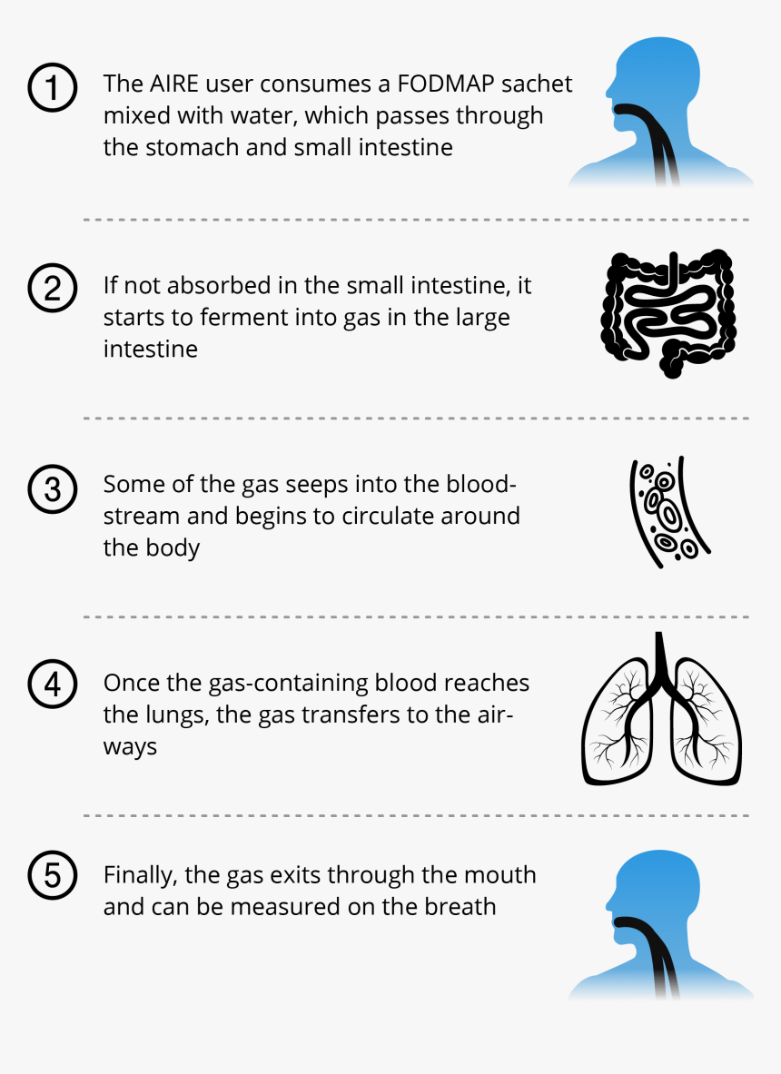 Hydrogen Breath Test, HD Png Download, Free Download