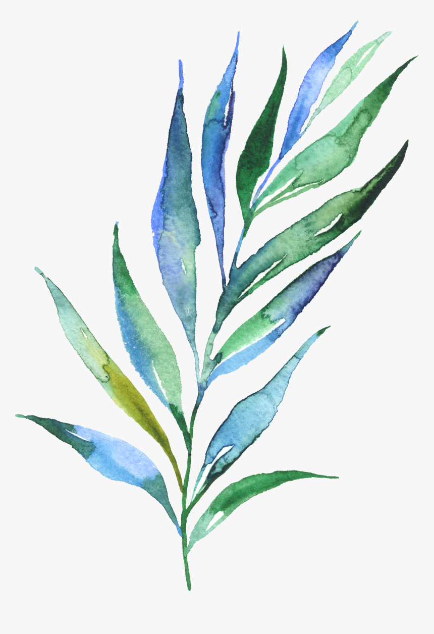 Watercolour Watercolor Plants, Watercolour, Plant Leaves, - Blue Watercolor Leaves Png, Transparent Png, Free Download