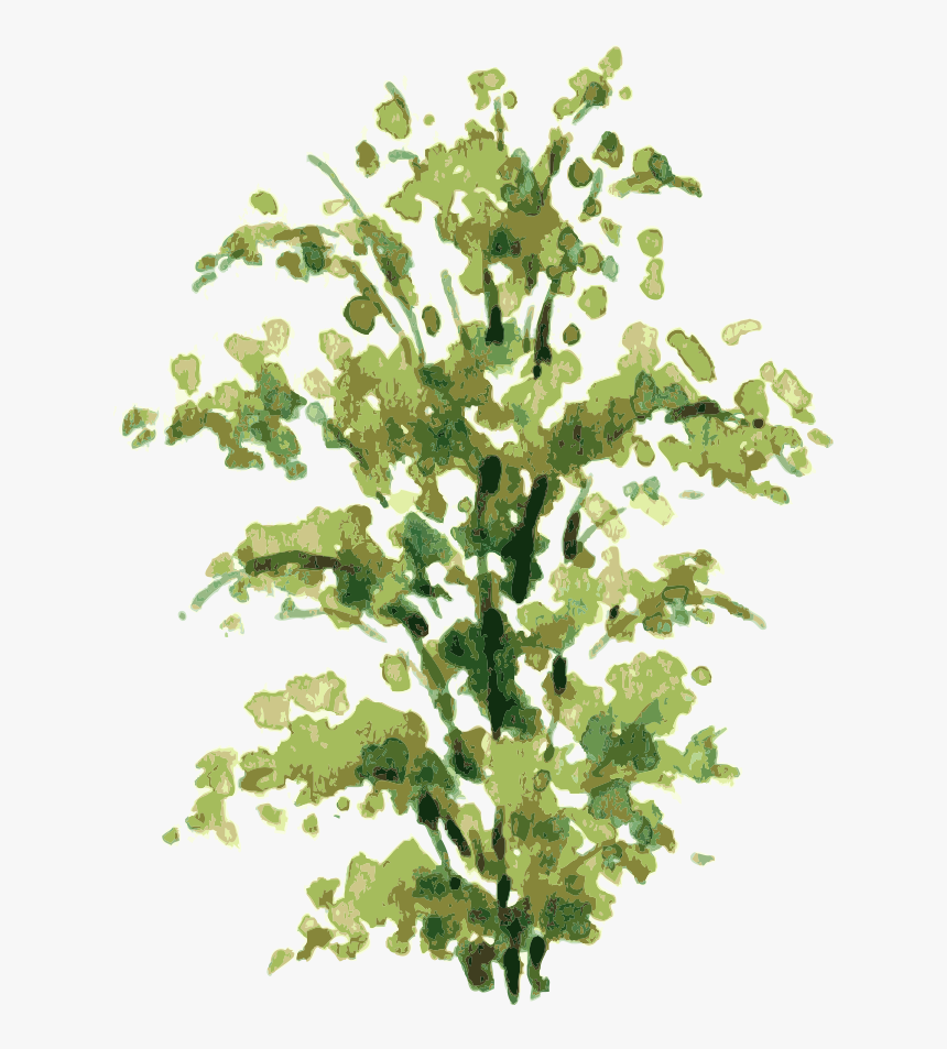 Transparent Bush Plant Png - Watercolor Shrub Png, Png Download, Free Download