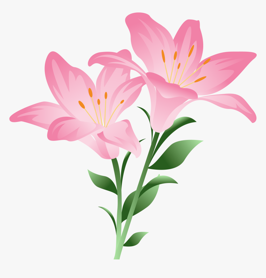 Pink Watercolor, Lilium, Clip Art, Art Prints, Pictures, - Pink Lily Clip Art, HD Png Download, Free Download