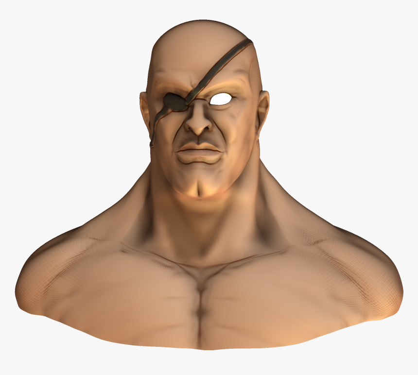 Transparent Sagat Png - Bust, Png Download, Free Download