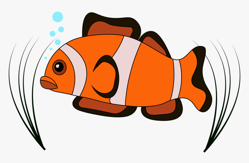 Grouper Clipart Large - รูป ปลา เป็น การ์ตูน, HD Png Download, Free Download