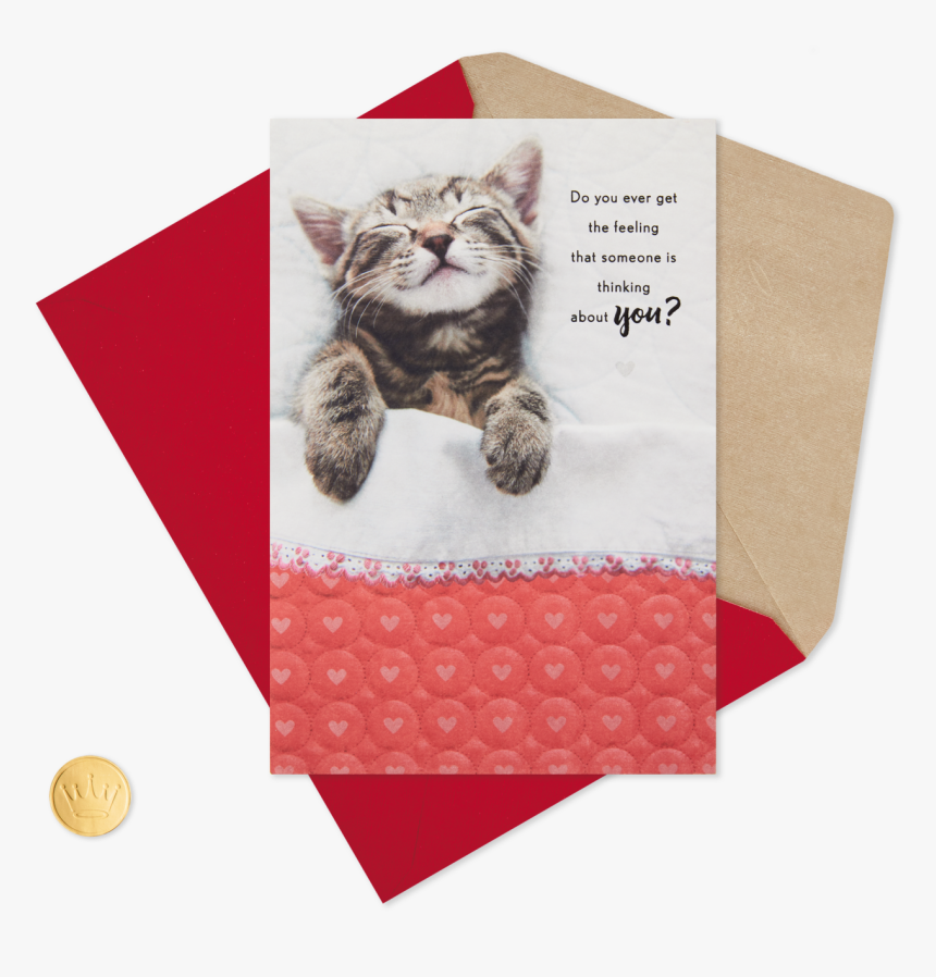 Kitten Sleeping Under Blanket Valentine"s Day Card - Squitten, HD Png Download, Free Download