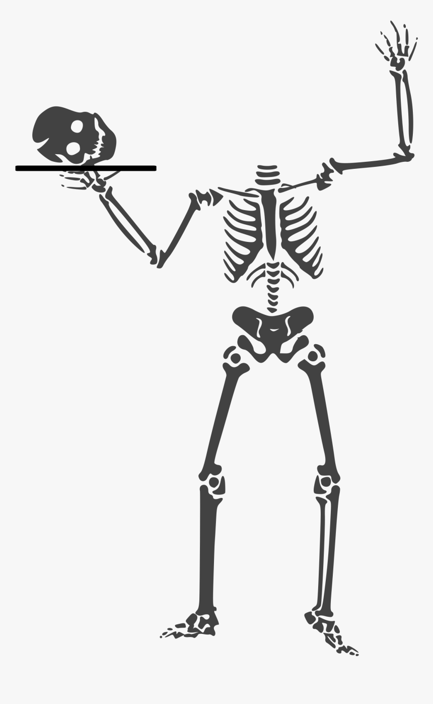 Clip Art Skeleton Halloween, HD Png Download, Free Download