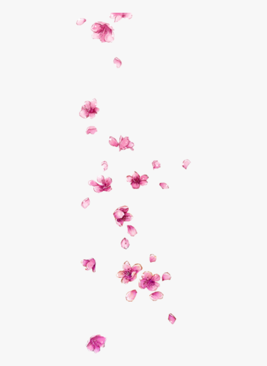 Ftestickers Flowers Petals Falling Pink Flower Petals Falling Png Transparent Png Kindpng - pink flower roblox