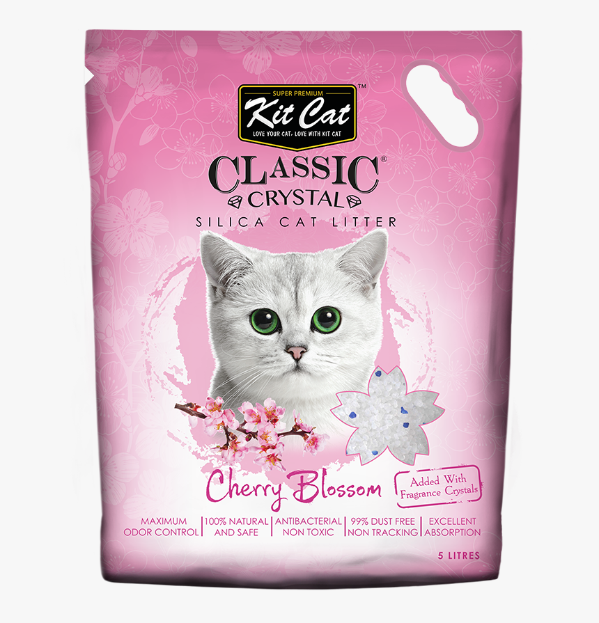 Cat Litter Kit Cat, HD Png Download, Free Download