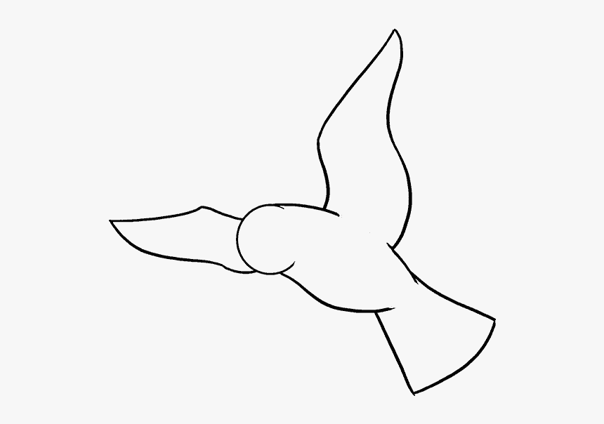 Draw Birds Drawing Parrot Sketch - Drawings Of A Bird, HD Png Download, Free Download