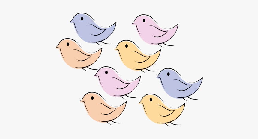 Water Bird,duck,vertebrate - Hand Drawn Bird Png, Transparent Png, Free Download